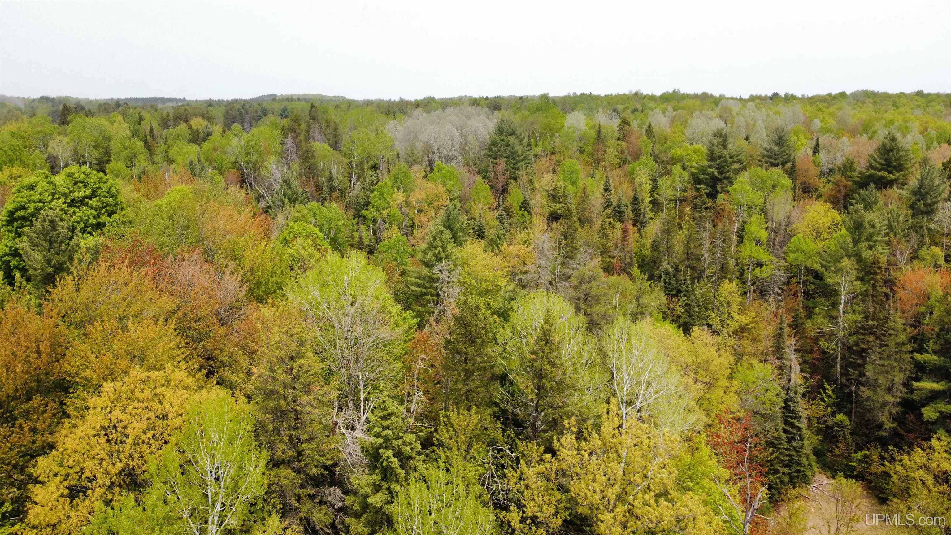 553 County Road Negaunee, MI 49866 - Photo 3 of 10