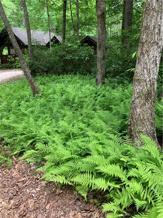 $799,000 | 23 Quail Drive, Salem, SC 29676