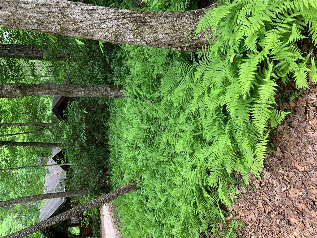 23 Quail Drive Salem, SC 29676 - Photo 48 of 50