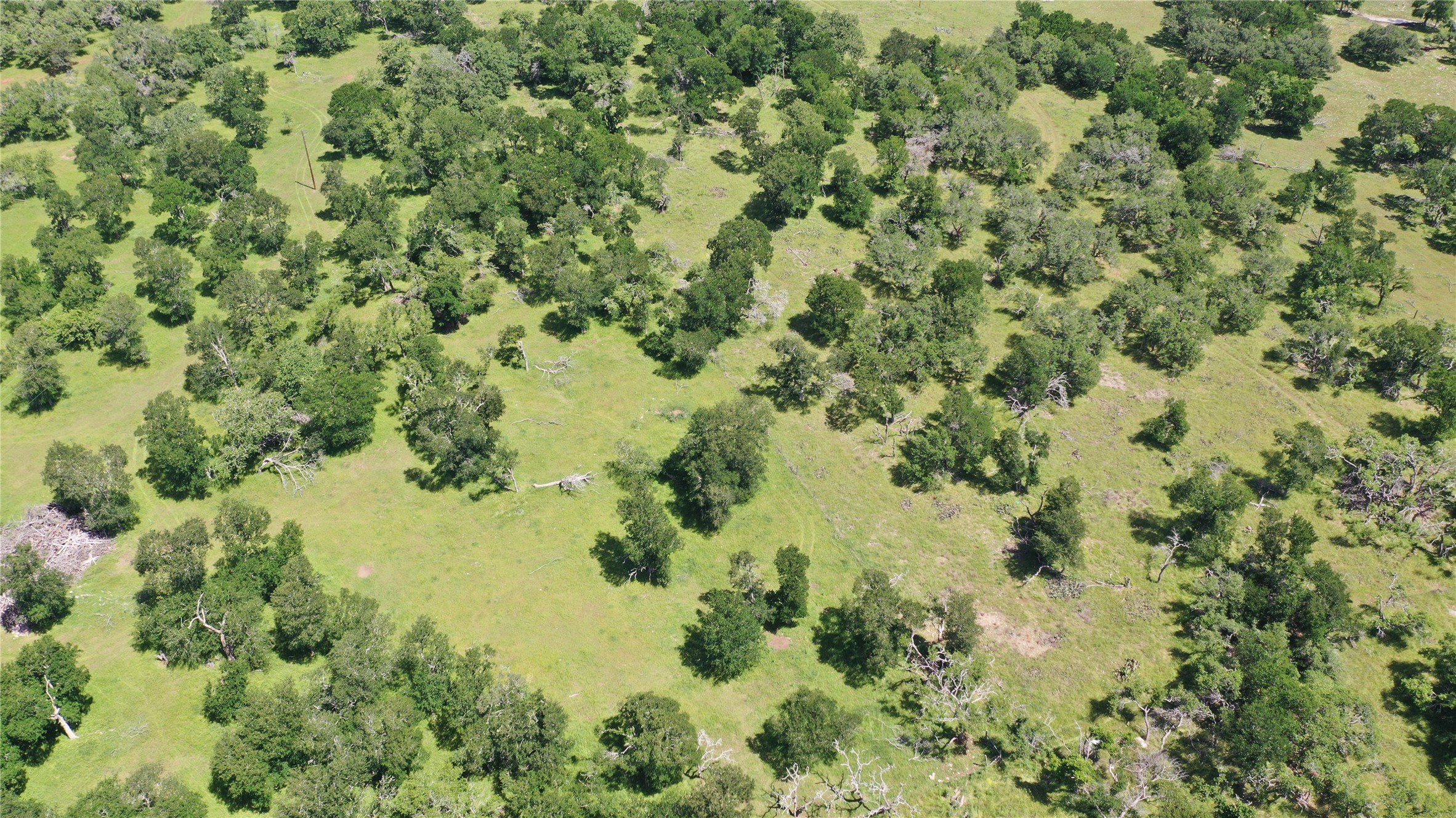 3215 County Road 305 Jarrell, TX 76537 - Photo 7 of 23