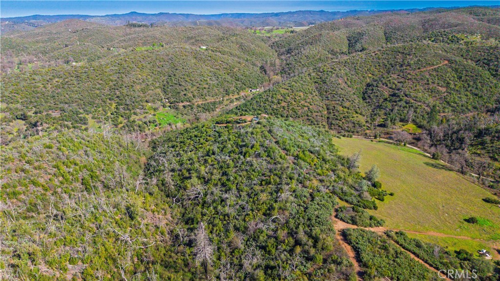 5529 Hawver Road San Andreas, CA 95249 - Photo 9 of 11