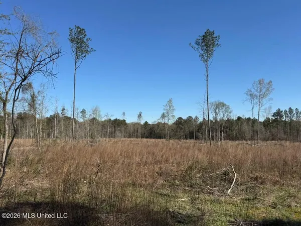 $79,000 | 0 Bilbrew Road, Lena, MS 39094