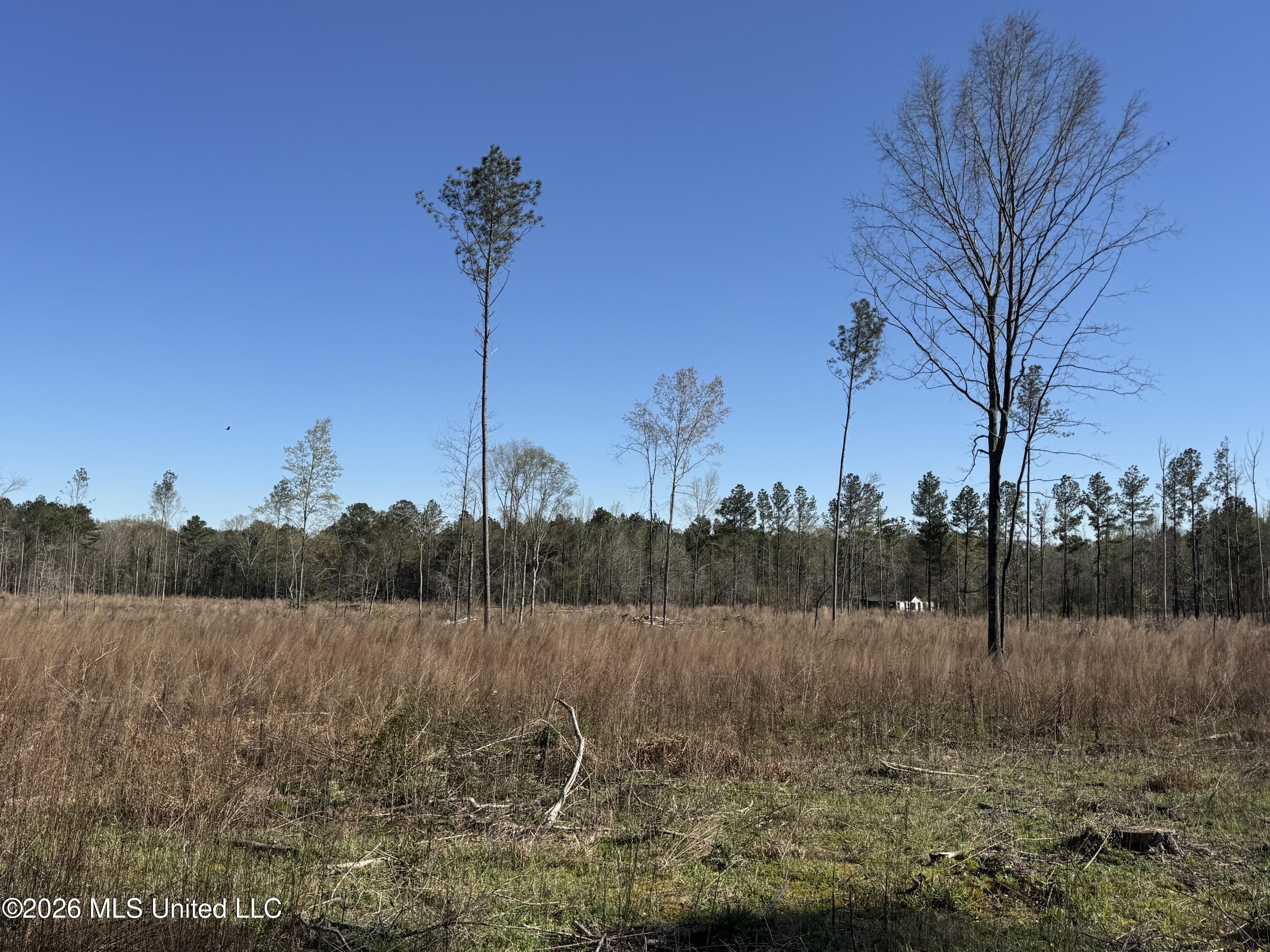 0 Bilbrew Road Lena, MS 39094 - Photo 4 of 6 IMG_2849