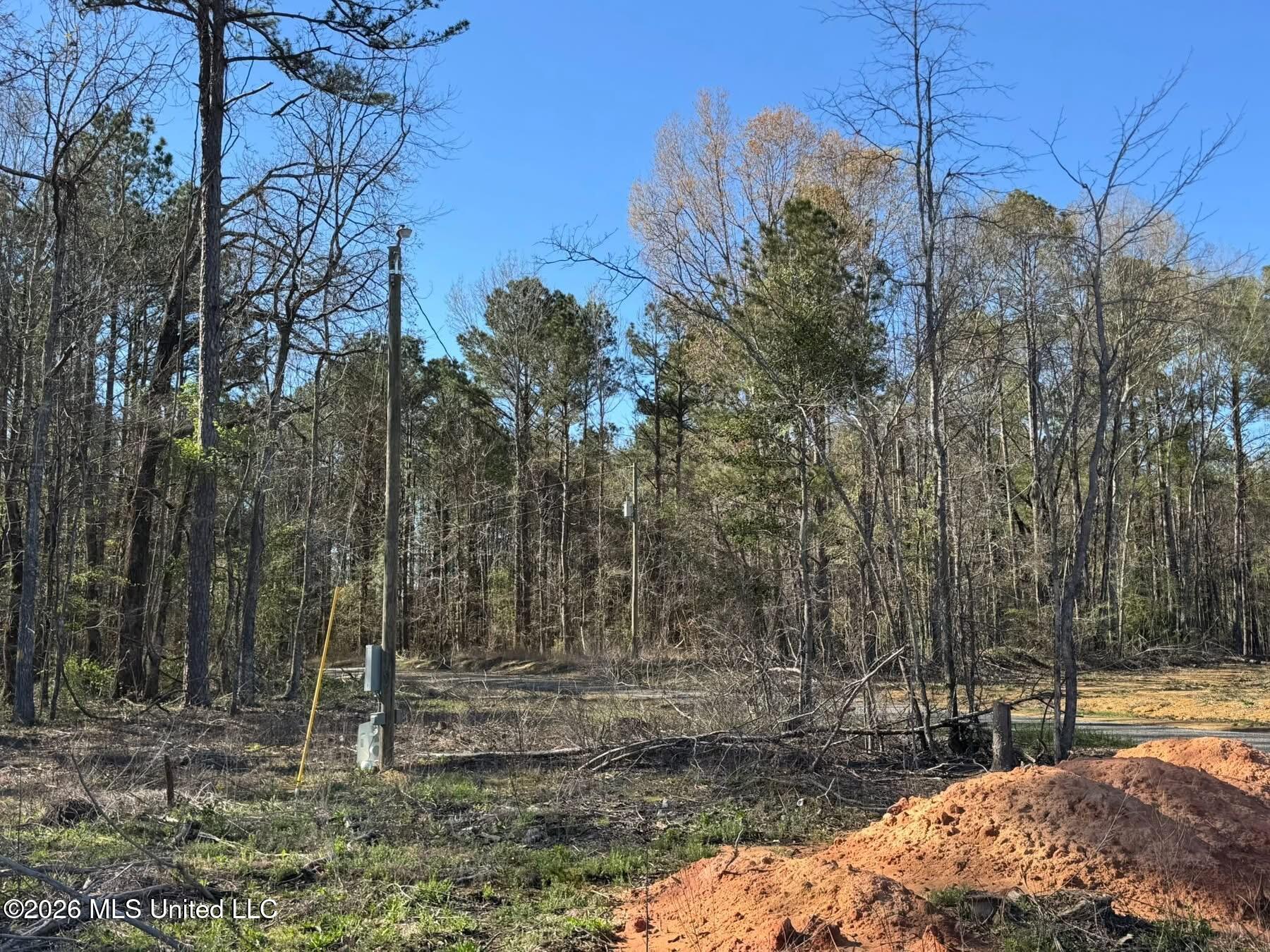 0 Bilbrew Road Lena, MS 39094 - Photo 6 of 6 IMG_2861