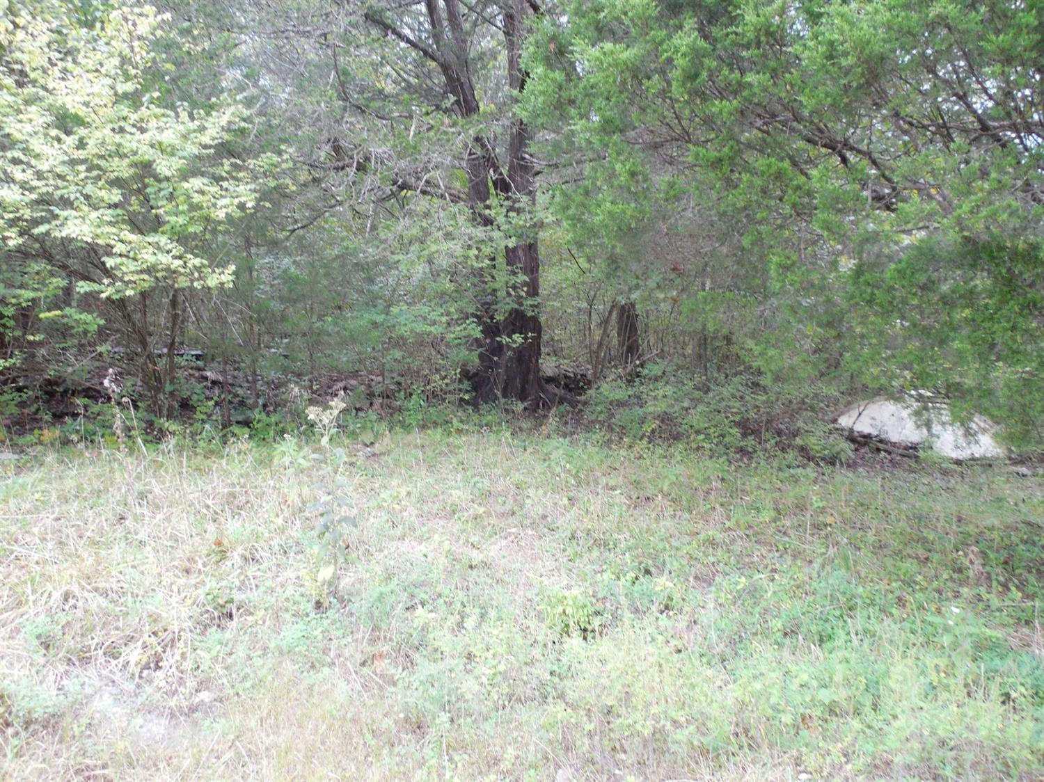1350 River Road Nicholasville, KY 40356 - Photo 15 of 47 Photo 15