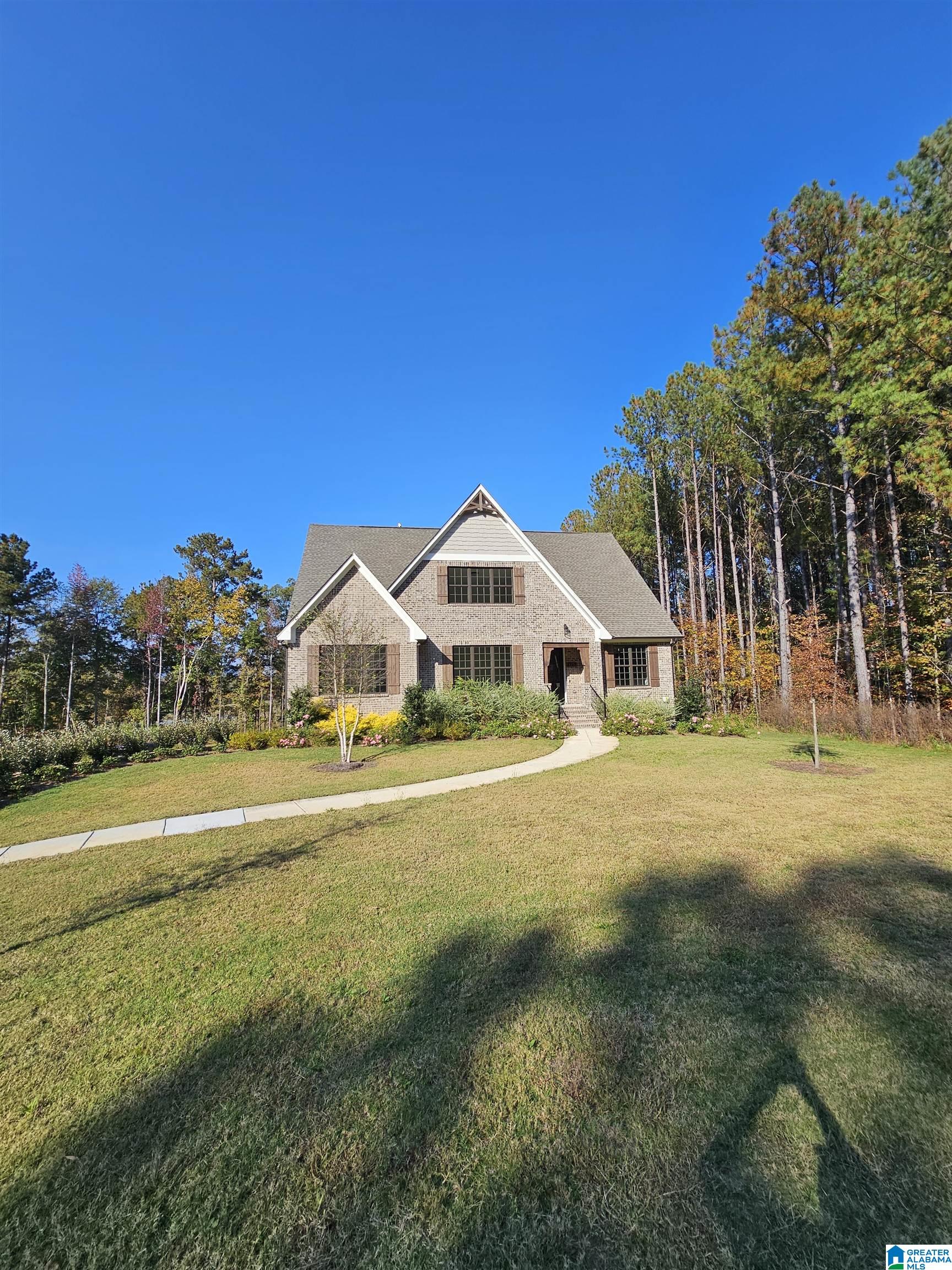 875 Chelsea Park Road Chelsea, AL 35043 - Photo 3 of 65