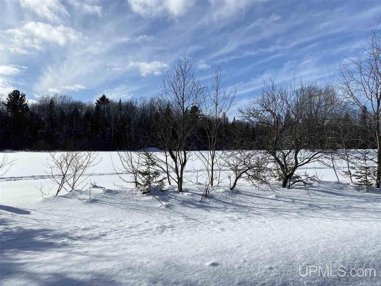 Tbd Halverson Road Skandia, MI 49885 - Photo 10 of 14
