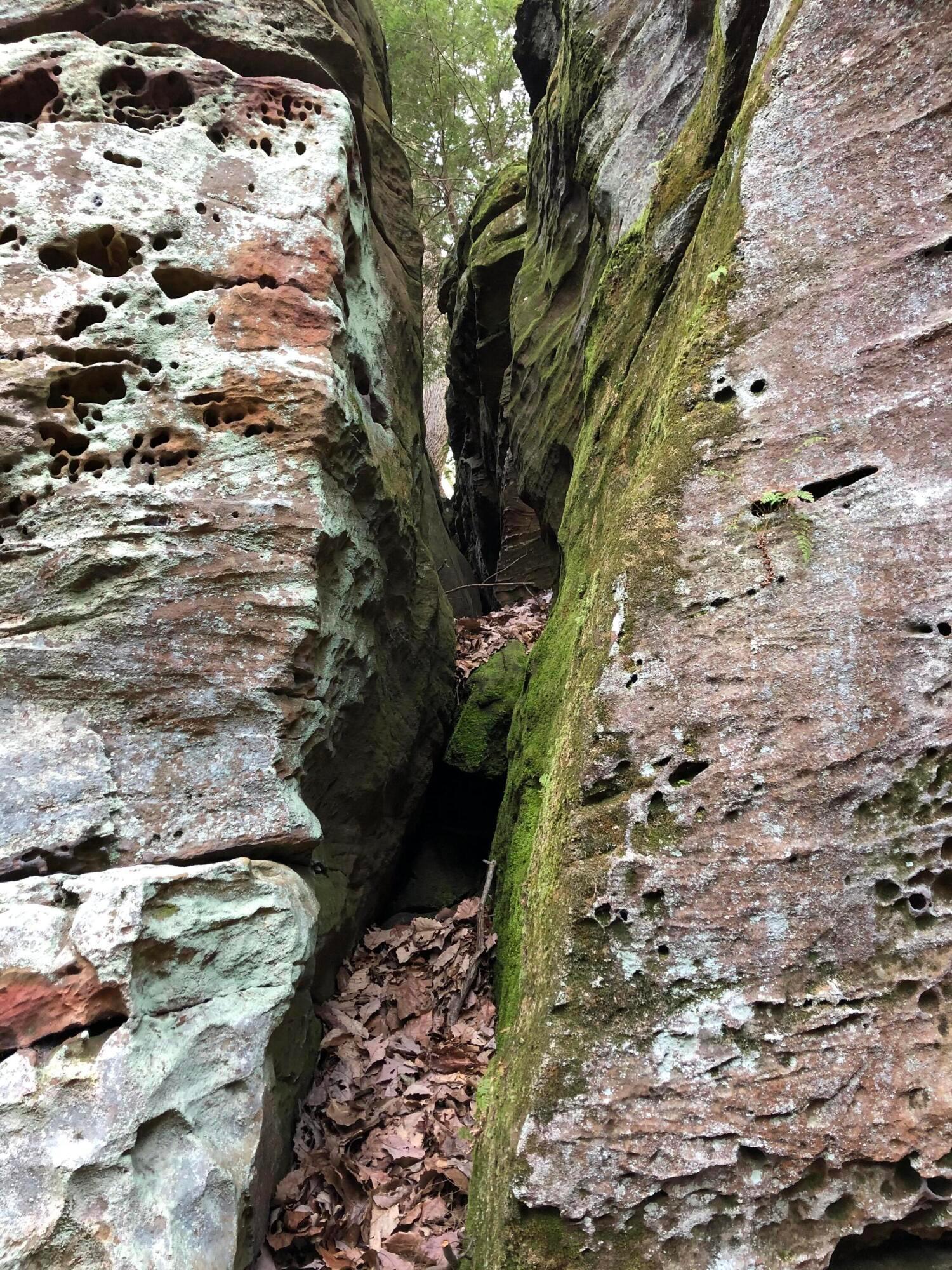 25779 Bailey Road Rockbridge, OH 43149 - Photo 19 of 89 Outcrop