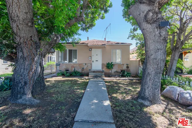a front view of a house with yard plants and large tree