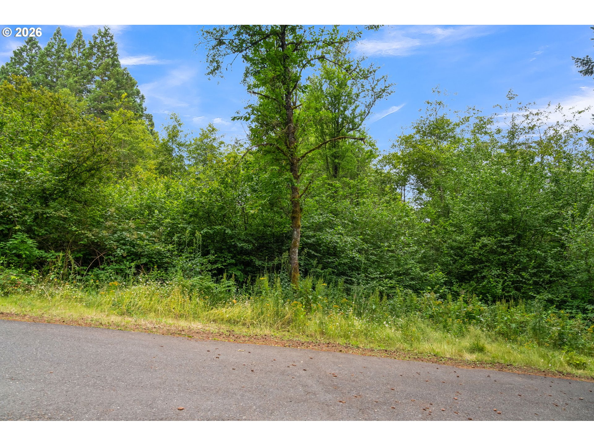 3832 Northeast Cavitt Road Camas, WA 98607 - Photo 37 of 44