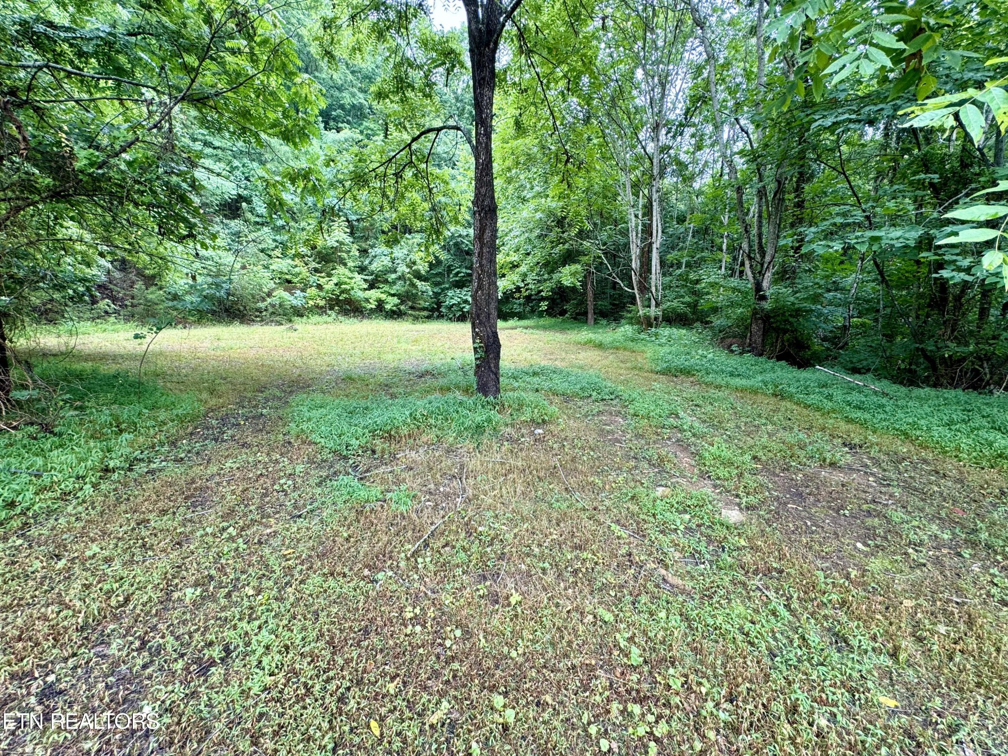 955 Lakeway Road Morristown, TN 37814 - Photo 16 of 20 Gallery Image 16