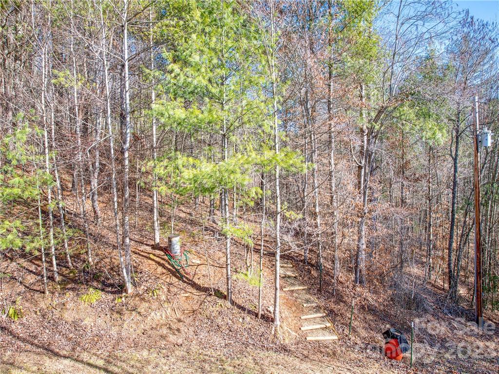 353 Rustic Heights Road Waynesville, NC 28785 - Photo 35 of 46 a picture of trees