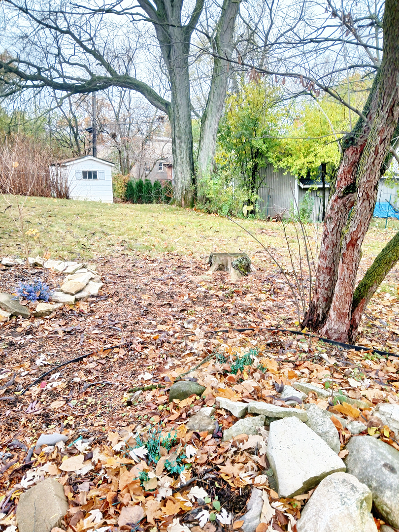 18404 Perth Avenue Homewood, IL 60430 - Photo 4 of 11 a view of yard with tree in front of it