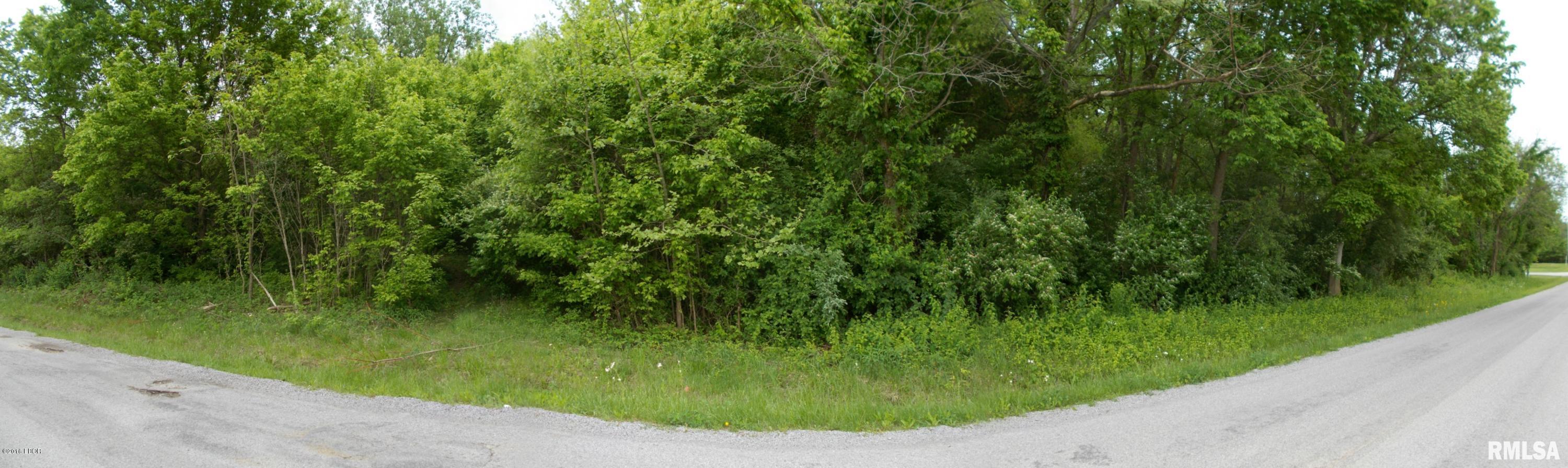 0 Dumaroc Road De Soto, IL 62924 - Photo 5 of 12