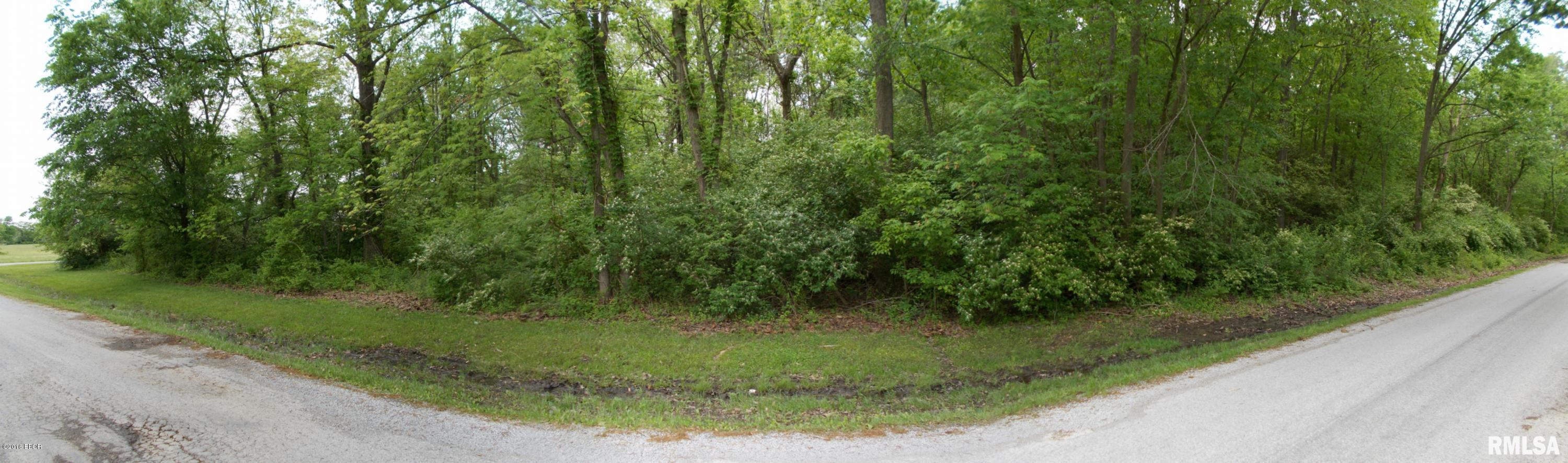 0 Dumaroc Road De Soto, IL 62924 - Photo 8 of 12