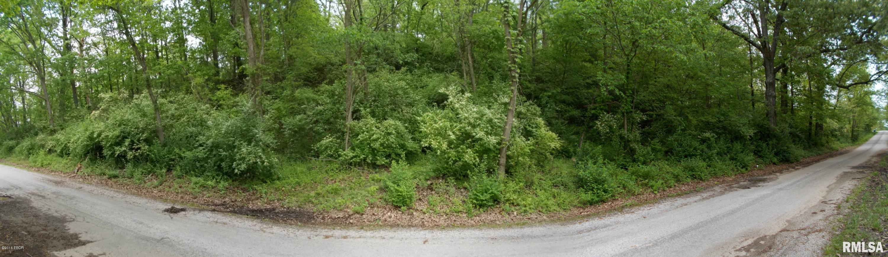 0 Dumaroc Road De Soto, IL 62924 - Photo 9 of 12
