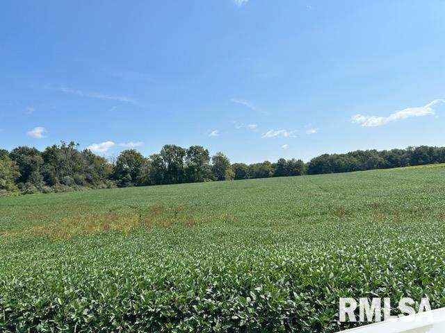 0 Minder Road Rochester, IL 62563 - Photo 1 of 2