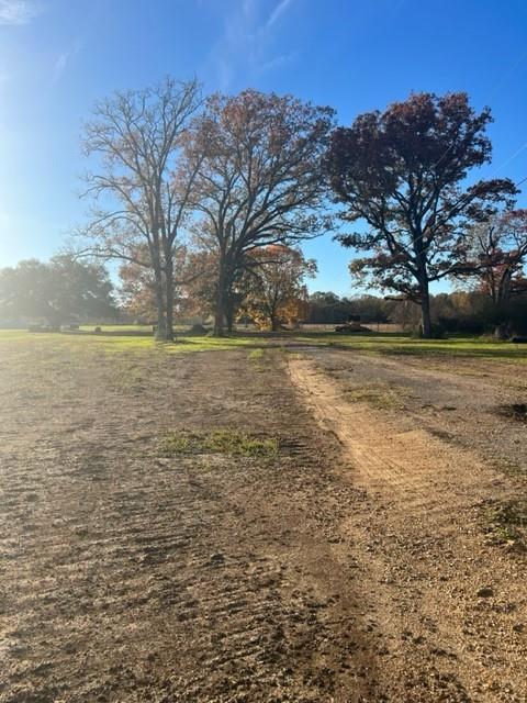0 Barney Rush Road Deville, LA 71328 - Photo 1 of 2 Gallery Image 1