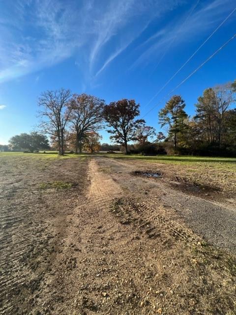 0 Barney Rush Road Deville, LA 71328 - Photo 2 of 2 Gallery Image 2