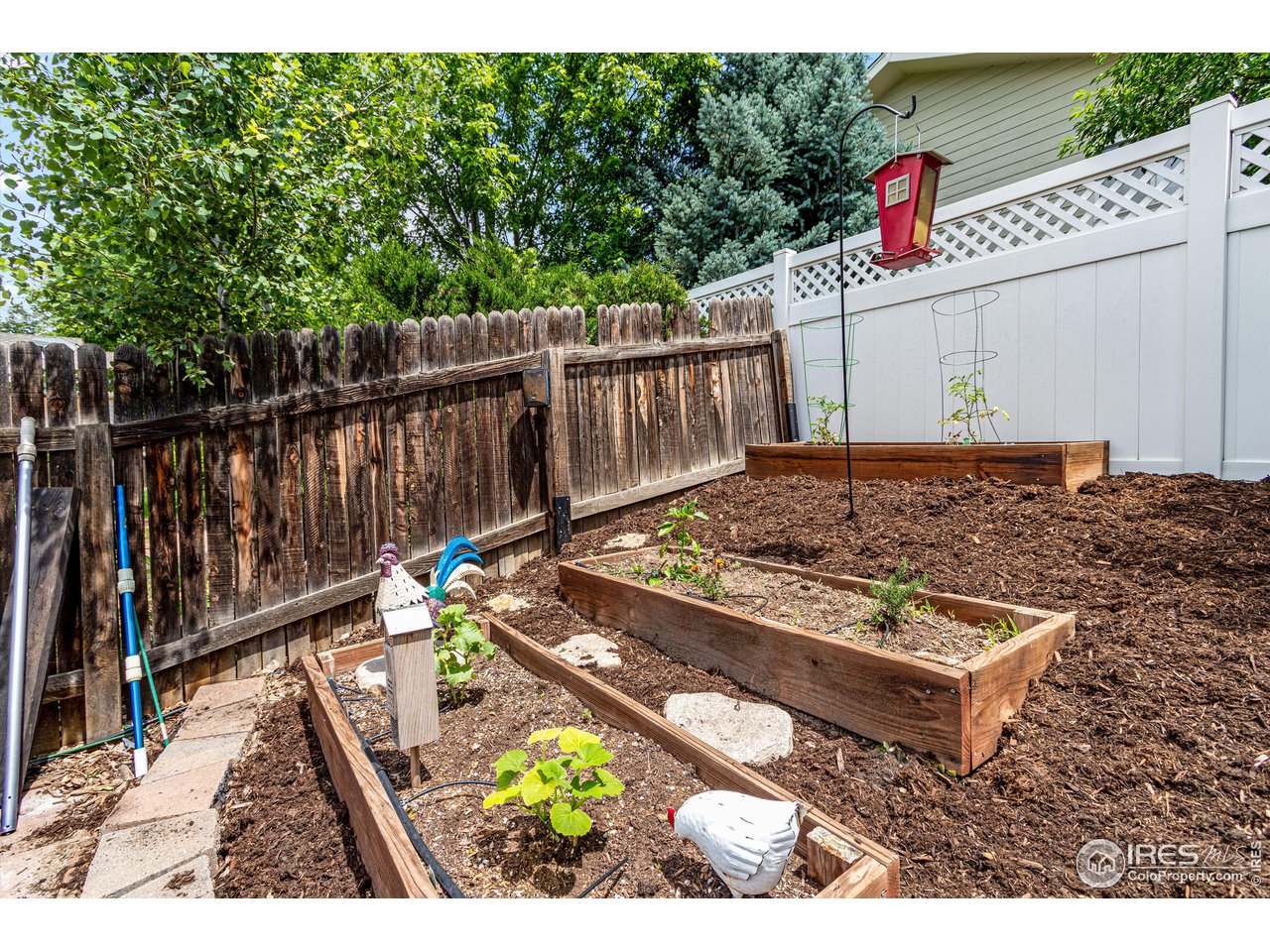 748 Brookside Drive Longmont, CO 80504 - Photo 39 of 39