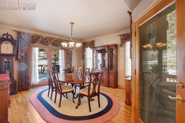 9070 Picabo Road Cascade, CO 80809 - Photo 15 of 21