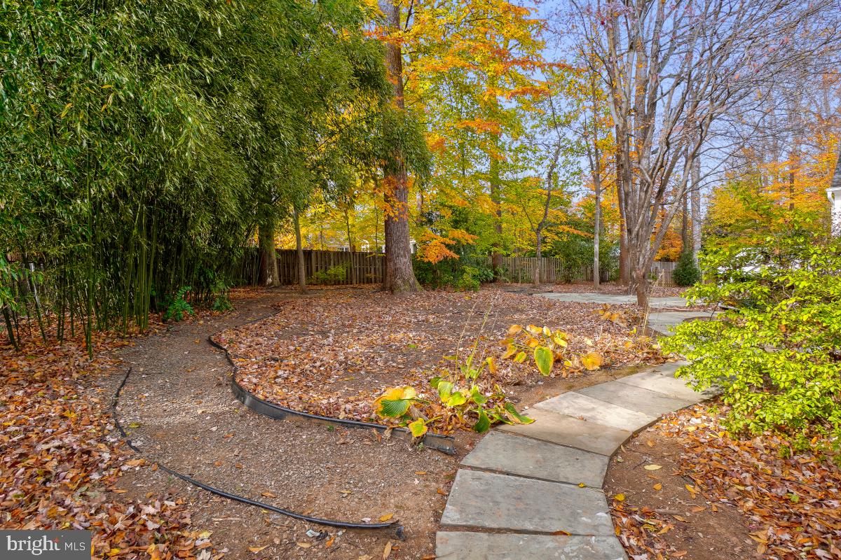 7700 Brickyard Road Potomac, MD 20854 - Photo 47 of 55 Backyard View