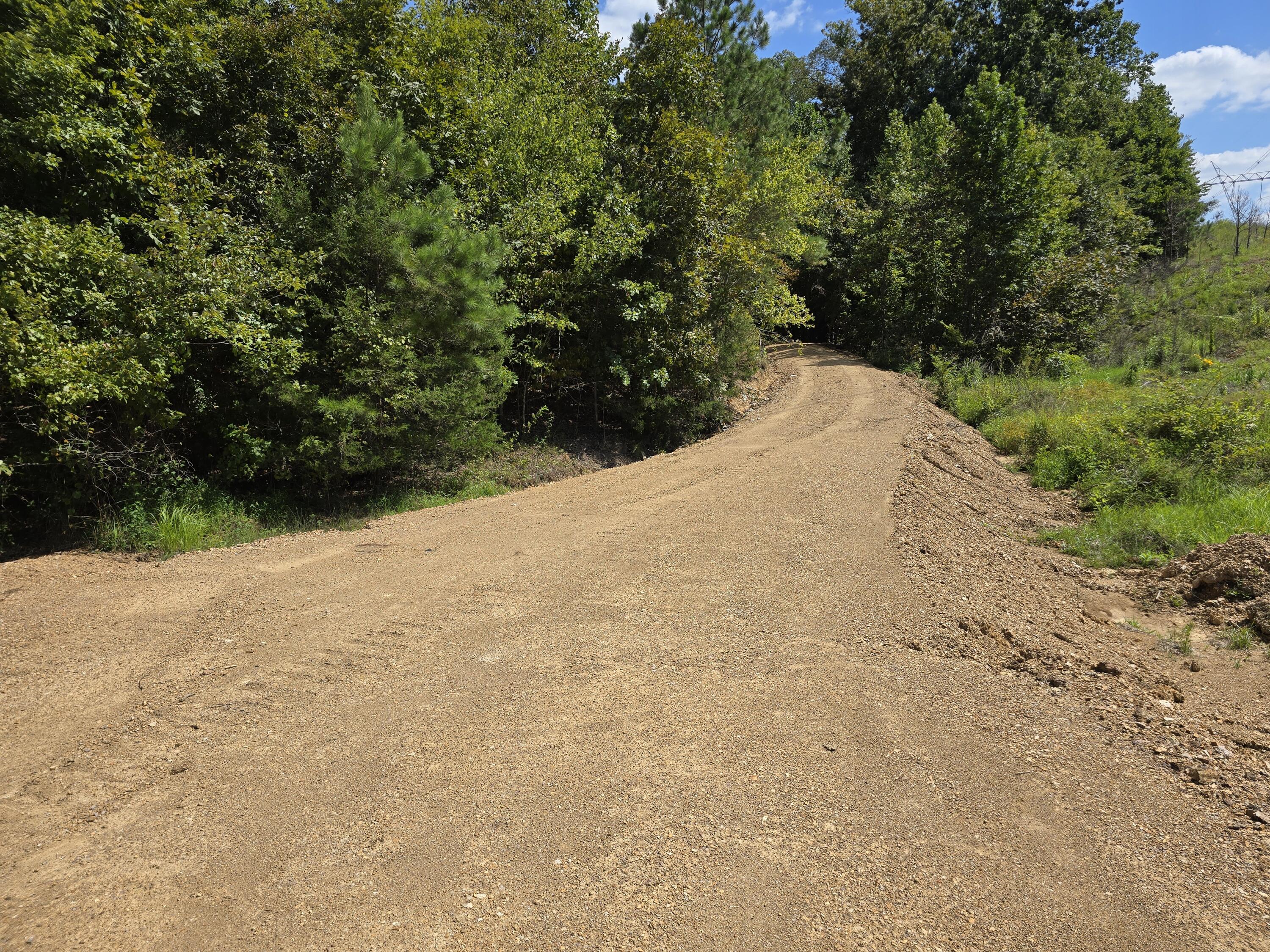 0 Old Alabama Road Southwest McDonald, TN 37353 - Photo 12 of 19 1000022247