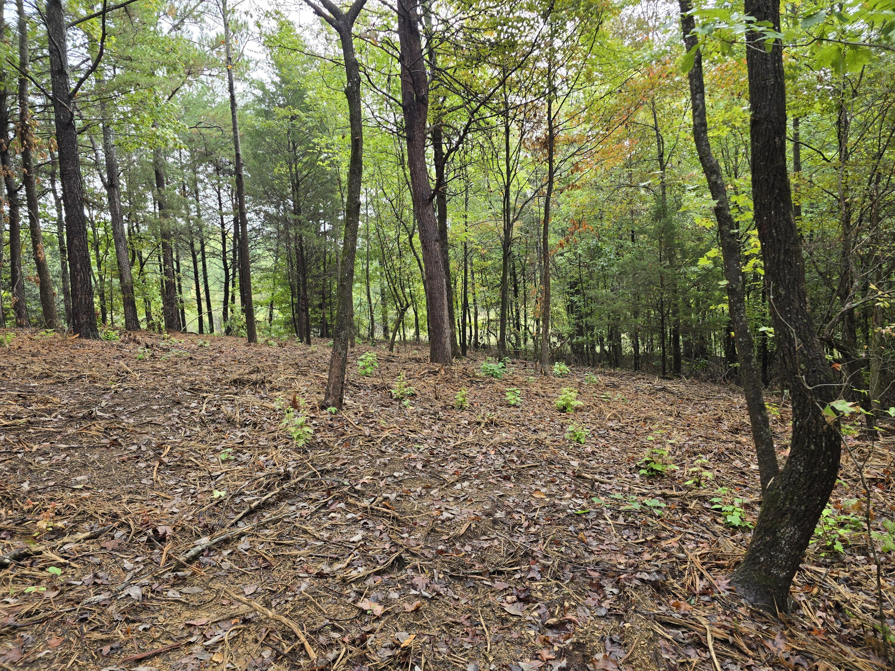 0 Old Alabama Road Southwest McDonald, TN 37353 - Photo 15 of 19 1000022358