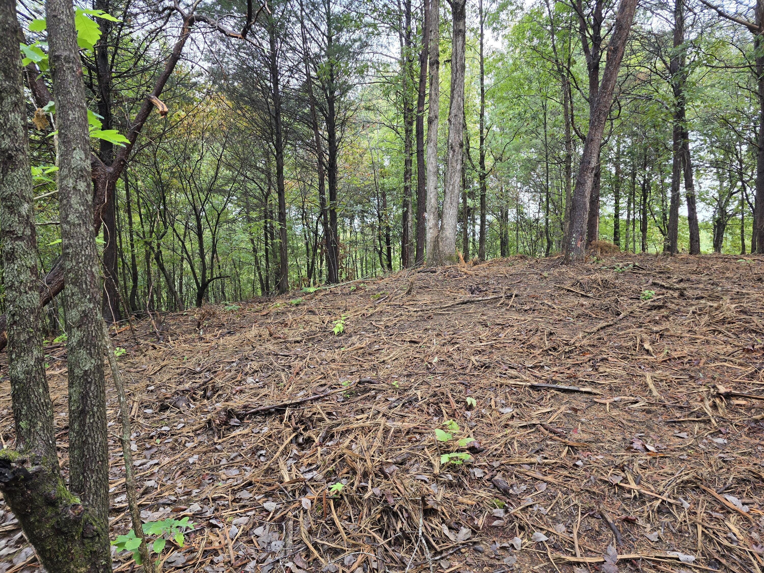 0 Old Alabama Road Southwest McDonald, TN 37353 - Photo 17 of 19 1000022359
