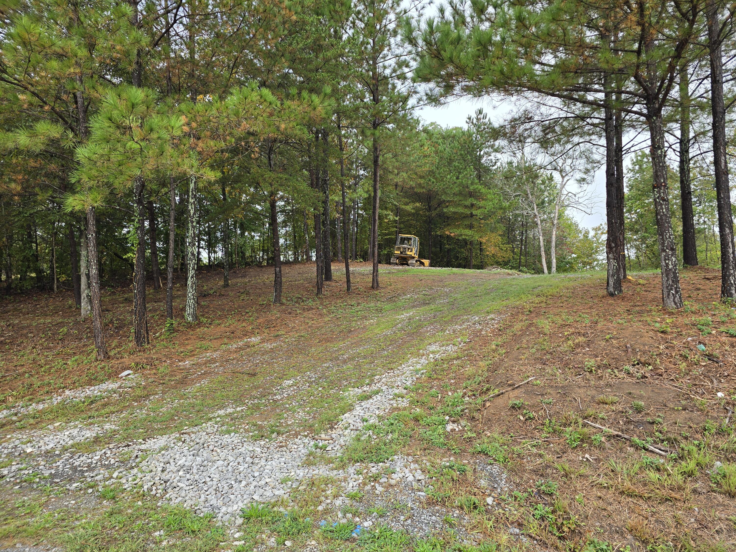 0 Old Alabama Road Southwest McDonald, TN 37353 - Photo 4 of 19 1000022347