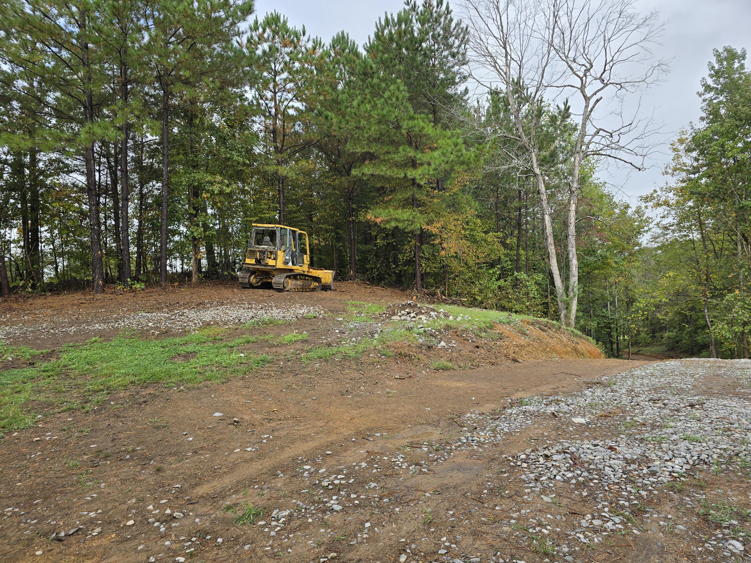 0 Old Alabama Road Southwest McDonald, TN 37353 - Photo 5 of 19 1000022351