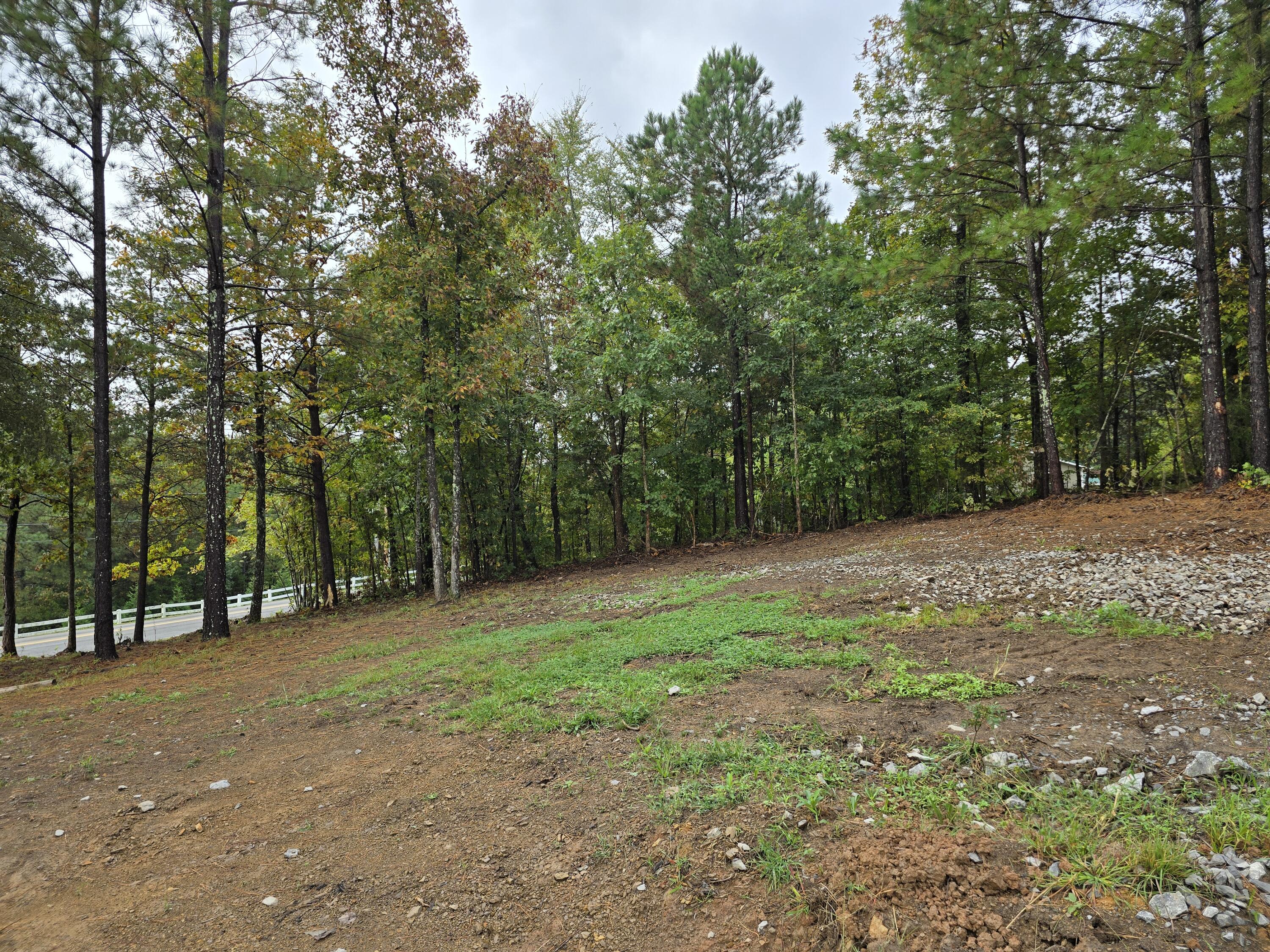 0 Old Alabama Road Southwest McDonald, TN 37353 - Photo 6 of 19 1000022352