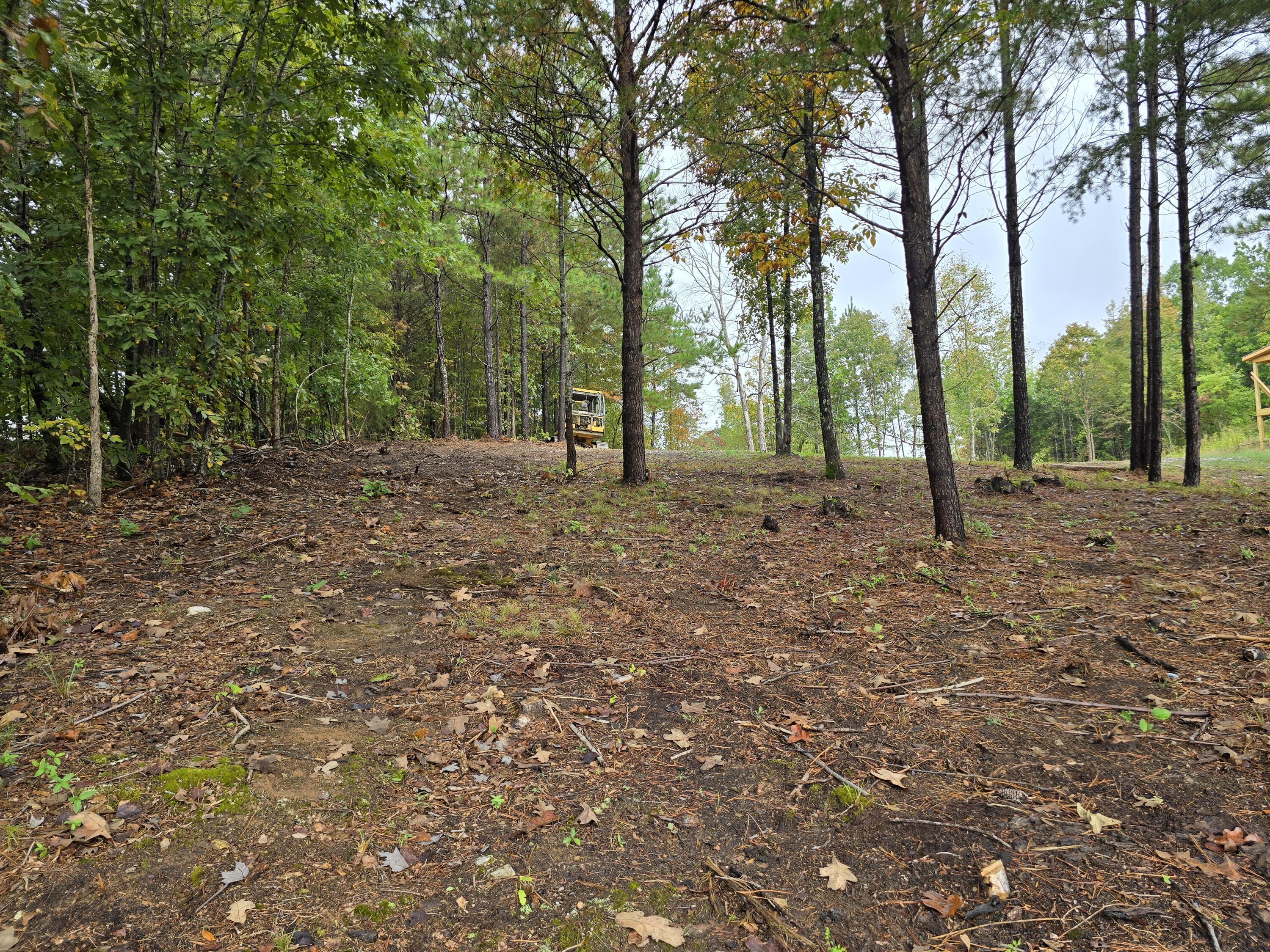0 Old Alabama Road Southwest McDonald, TN 37353 - Photo 8 of 19 1000022354
