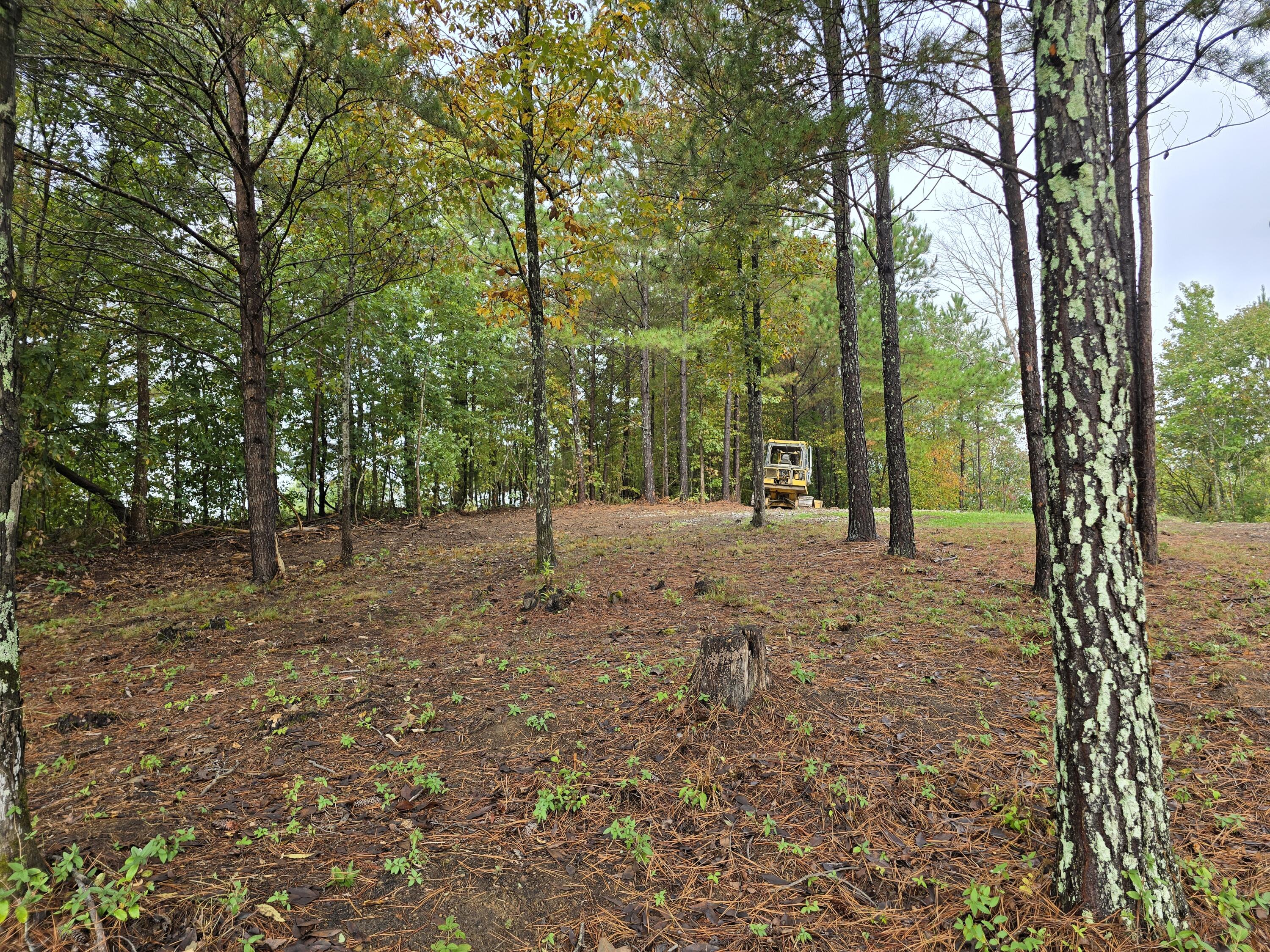 0 Old Alabama Road Southwest McDonald, TN 37353 - Photo 9 of 19 1000022355