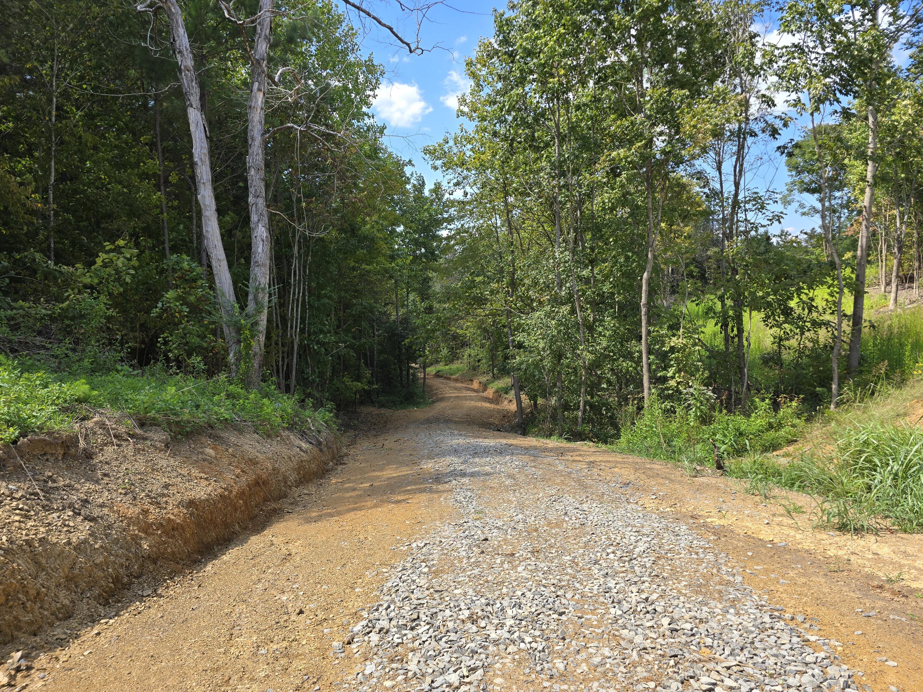 0 Old Alabama Road Southwest McDonald, TN 37353 - Photo 10 of 19 1000022253