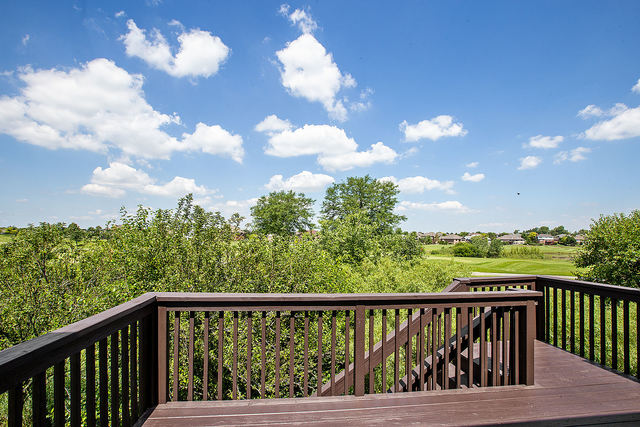 16054 Golf View Drive Lockport, IL 60441 - Photo 19 of 27