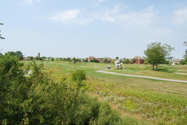16054 Golf View Drive Lockport, IL 60441 - Photo 23 of 27