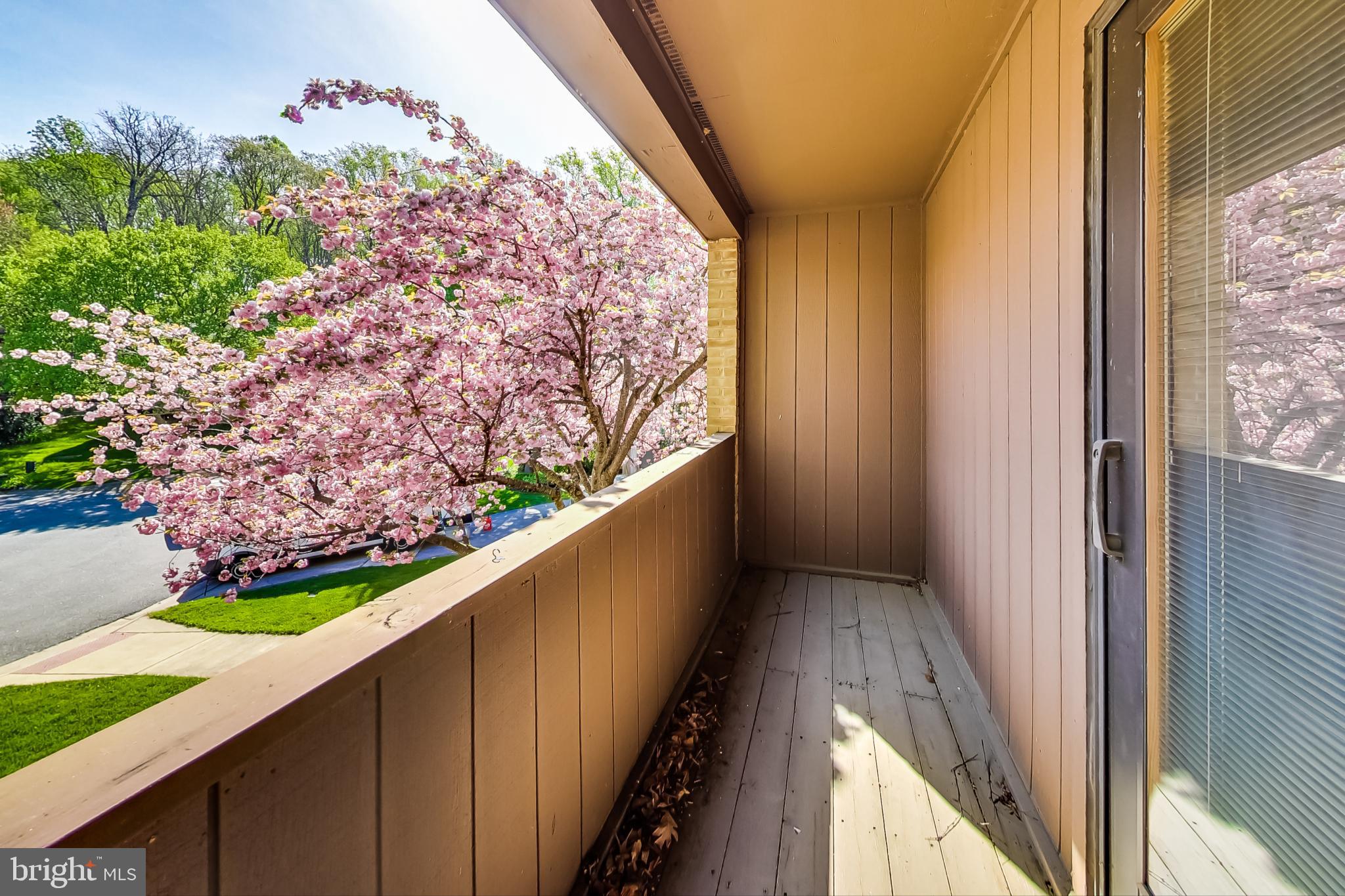 9504 Starmont Road Bethesda, MD 20817 - Photo 41 of 65