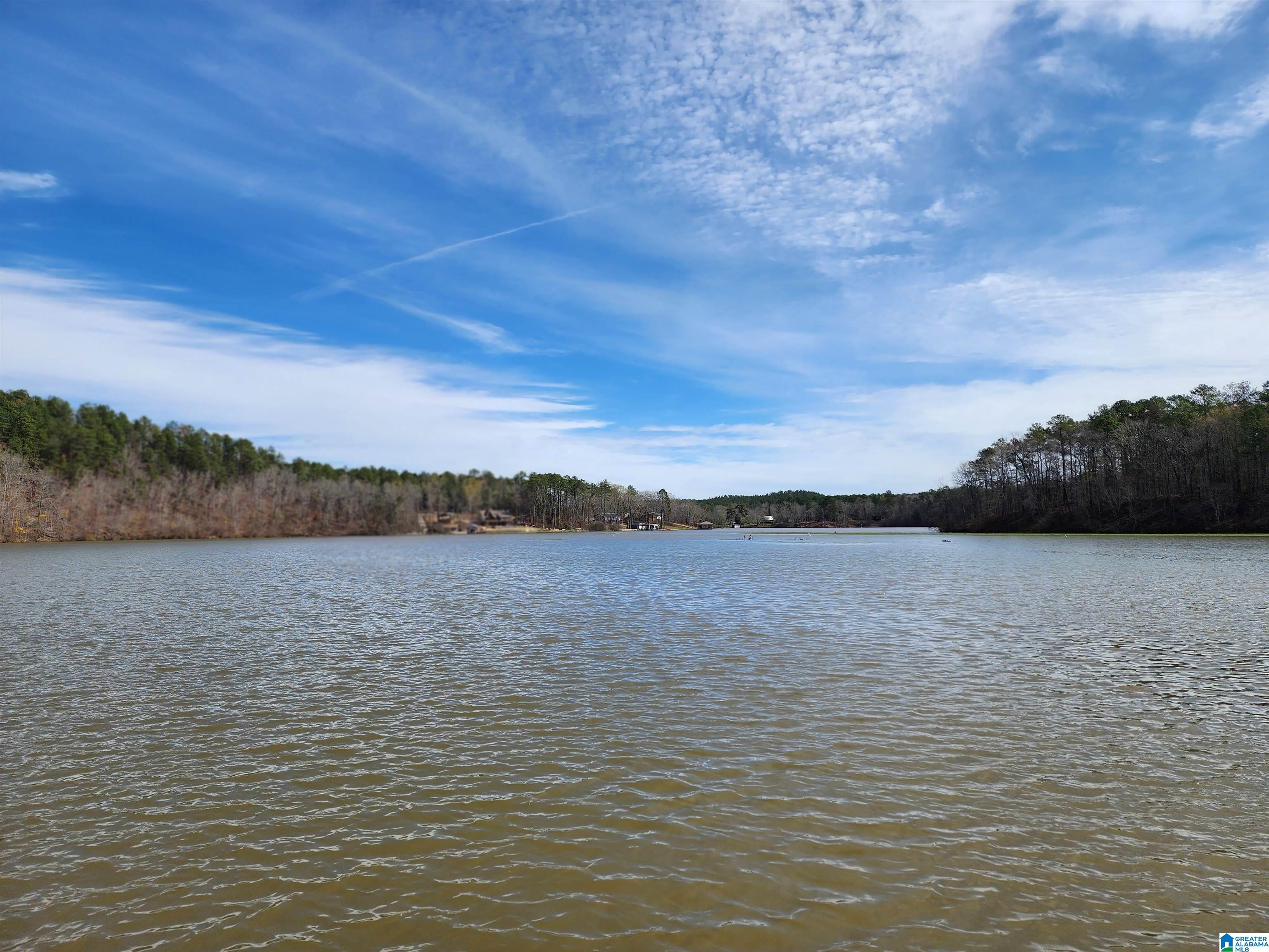1410 White Oak Road Sylacauga, AL 35151 - Photo 9 of 41
