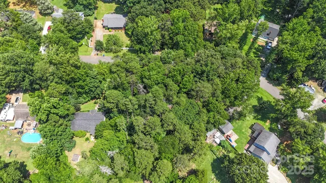 a view of a lush green forest