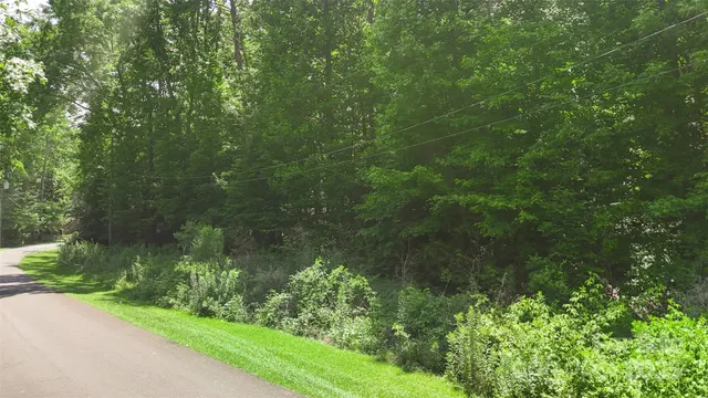 a view of a yard with a plants and trees