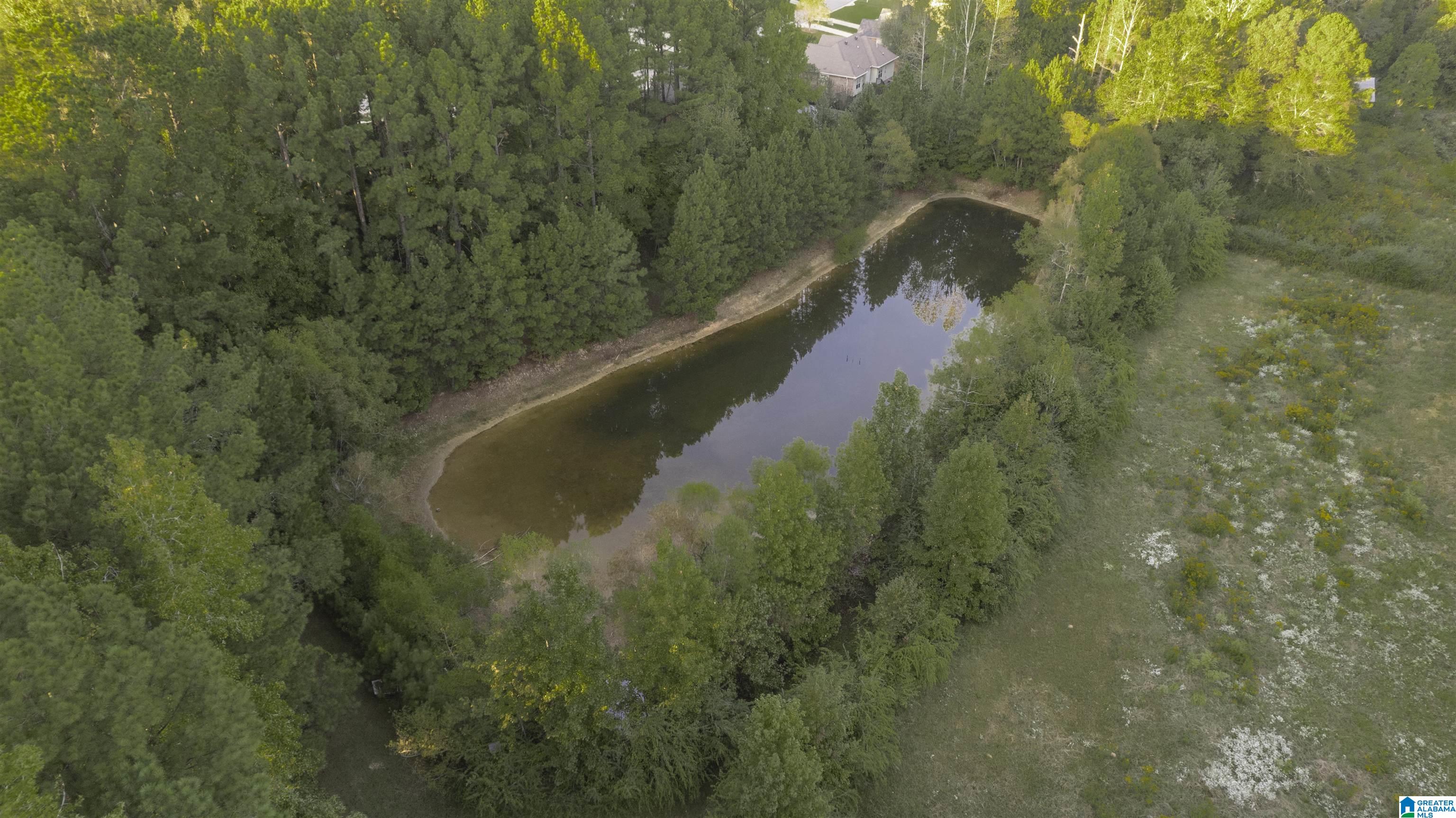 1326 Highway 36 Chelsea, AL 35043 - Photo 52 of 55
