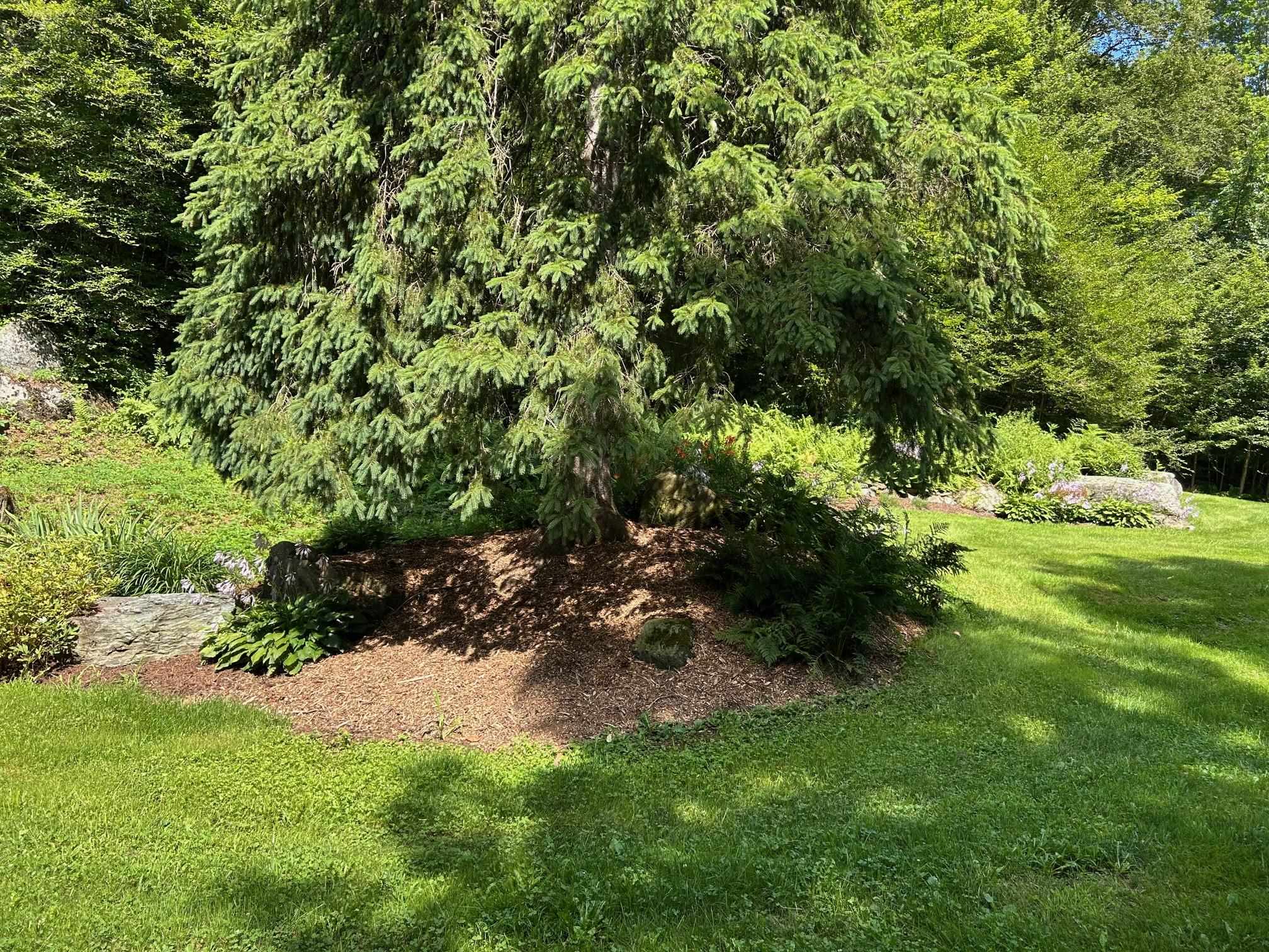 33 Williams Lane Wolcott, VT 05680 - Photo 38 of 57