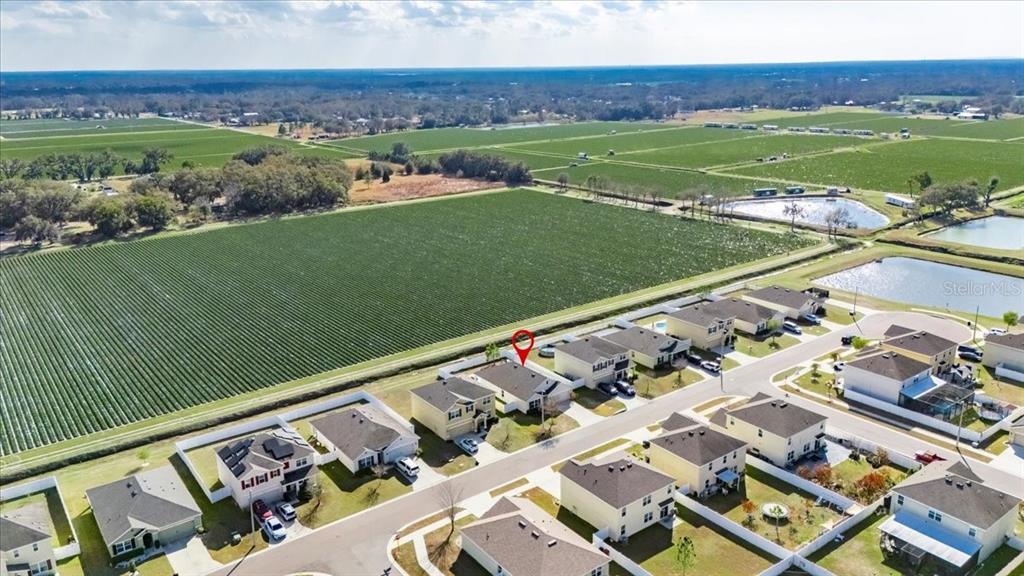 3246 South Northview Road Plant City, FL 33566 - Photo 49 of 57