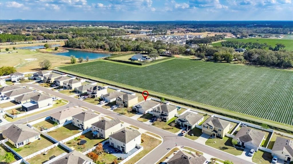 3246 South Northview Road Plant City, FL 33566 - Photo 50 of 57 a view of a city from a terrace