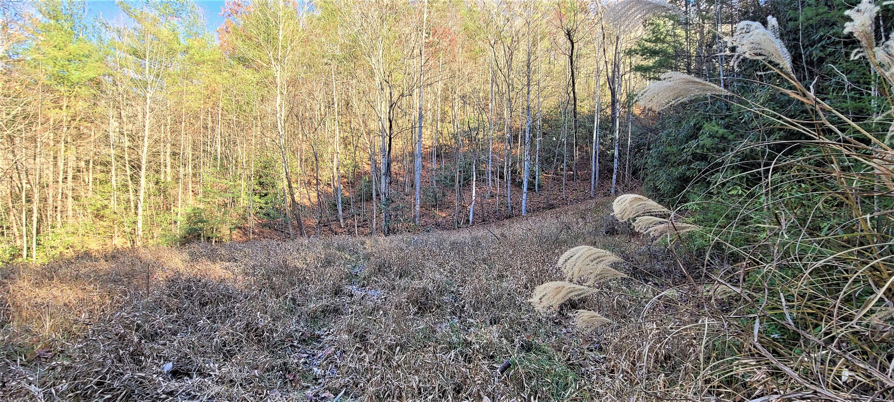 5.63-acres Gaelic Way, Unit 14 Erwin, TN 37650 - Photo 2 of 21 3