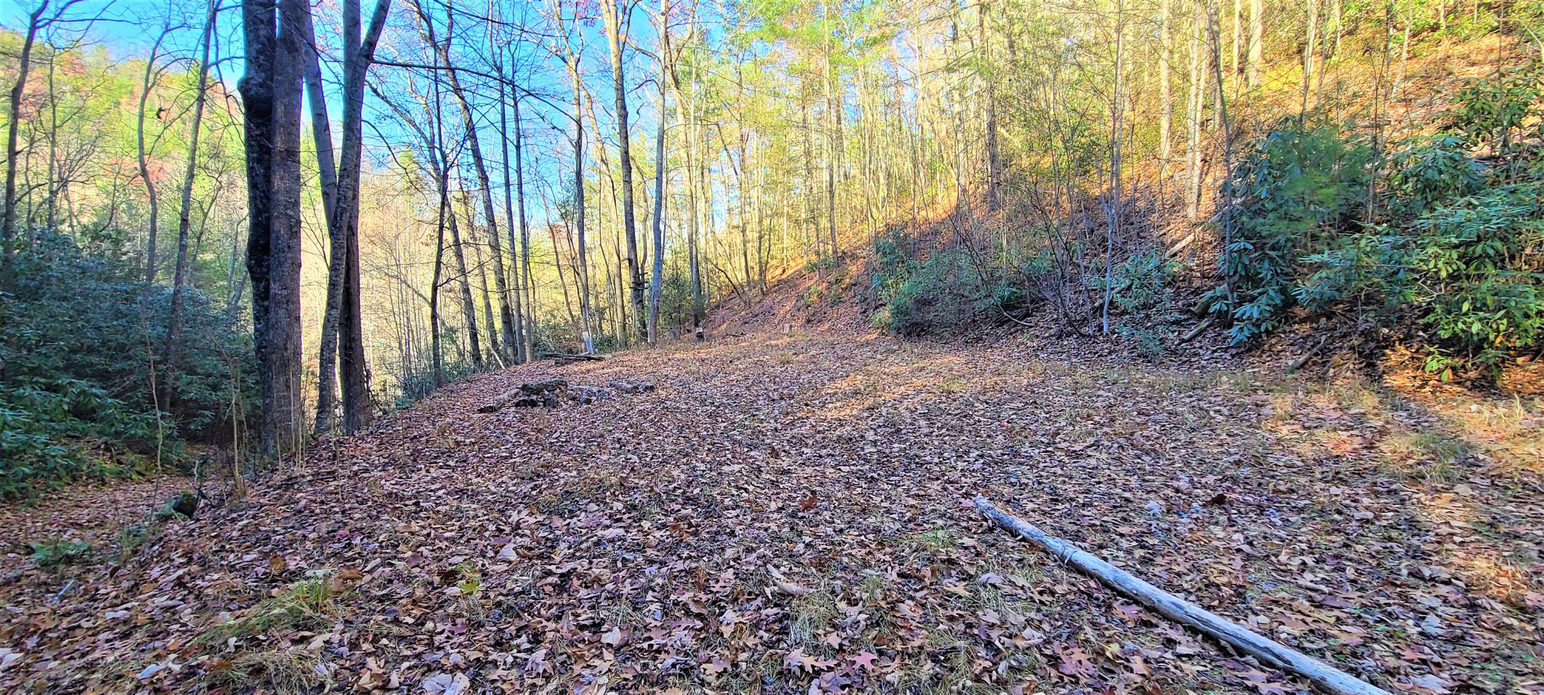 5.63-acres Gaelic Way, Unit 14 Erwin, TN 37650 - Photo 12 of 21 11