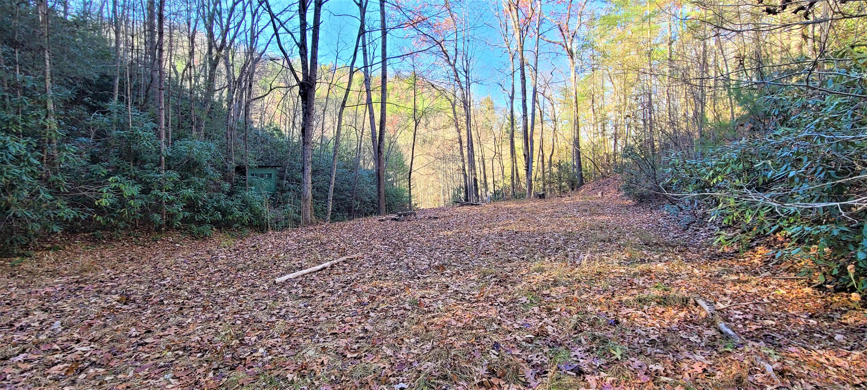 5.63-acres Gaelic Way, Unit 14 Erwin, TN 37650 - Photo 13 of 21 10