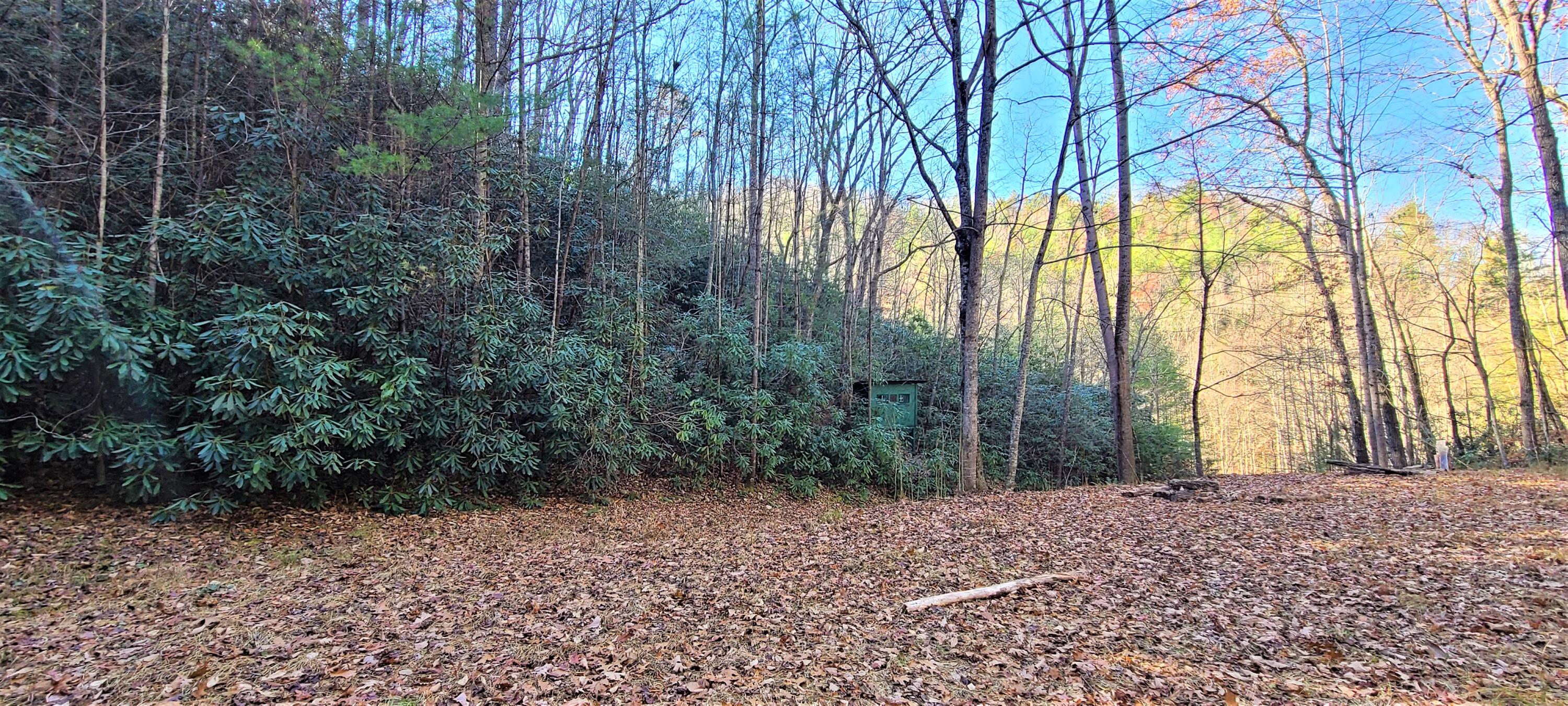 5.63-acres Gaelic Way, Unit 14 Erwin, TN 37650 - Photo 14 of 21 12