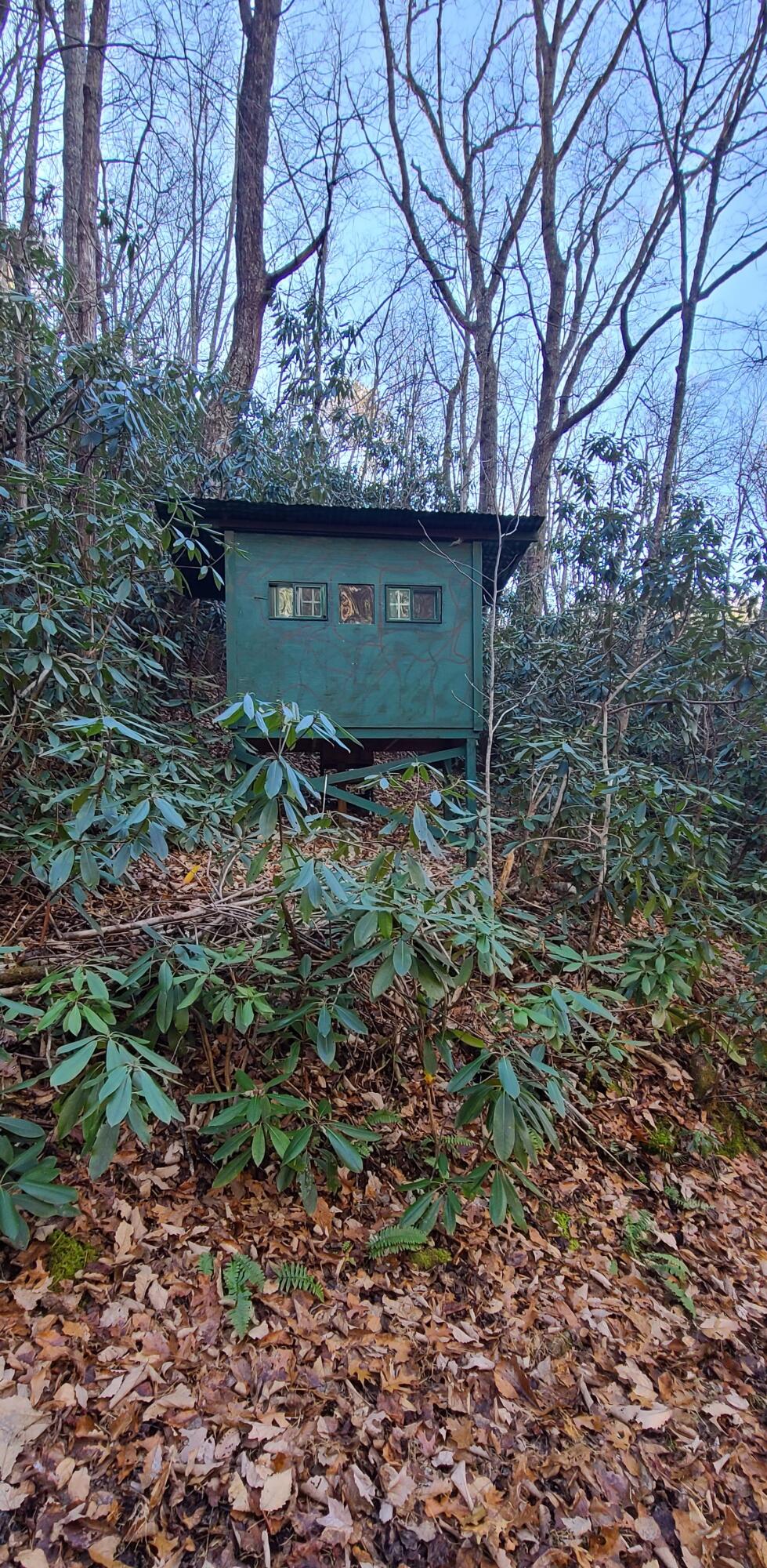 5.63-acres Gaelic Way, Unit 14 Erwin, TN 37650 - Photo 16 of 21 17
